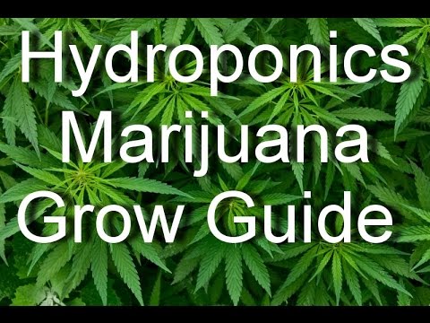 Marijuana Legalization – Marijuana Hydroponics Grow Guide – Grow Top Quality Marijuana